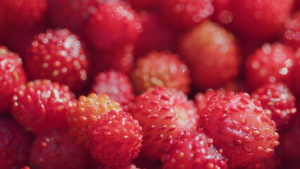 Fresh and ripe, juicy strawberries. Forest red wild strawberry. Close up. Rack focus.