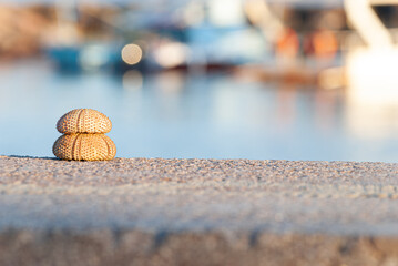 Seaside symmetry, fishing boats and sea urchins in a harmonious setting, stacked, selective focus