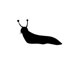 Slug Snail Silhouette 