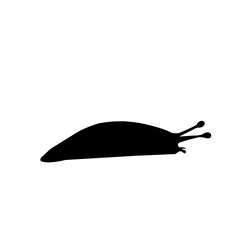 Slug Snail Silhouette 