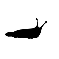 Slug Snail Silhouette 