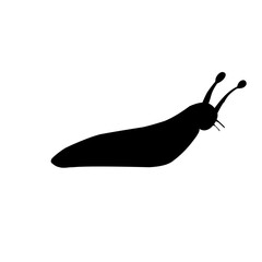 Slug Snail Silhouette 