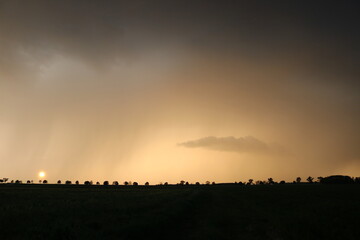 sunset over the field