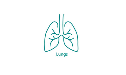 Human Lungs Medical Icon for Healthcare