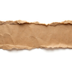 Background torn paper texture
