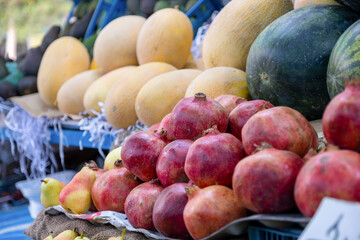 Bazaar selling summer fruits in shop showing plenty types of fruits and variations of choices