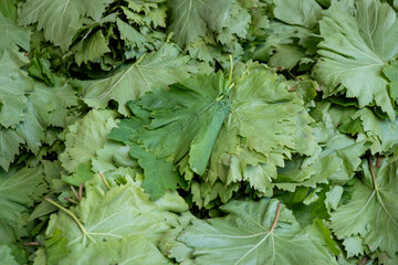 Close up view for grape leafs for sale from above or top view with price tag as copy space on white...