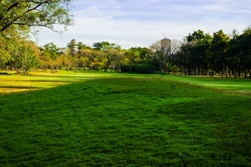 Green meadow field in city park blue sky