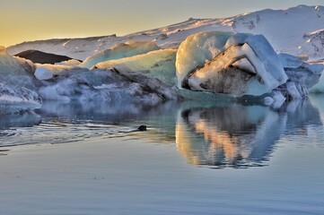 Glacier Lagoon in Winter wth Mountains and Icelandic Seal