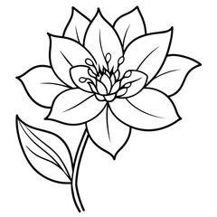 Hand drawn Doodle flowers. Vector illustration design