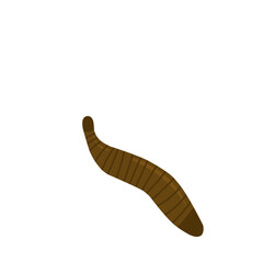 Leech Vector Illustration 