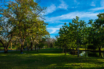 Green meadow field in city park blue sky