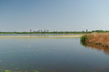At Boyd Hill Nature Preserve from ground over Lake Maggiore in St Petersburg Florida towards downtown with large buildings in the background. Calm Blue Water on a sunny day with Reflections space and 