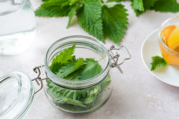 Make herbal remedy nettle tincture. A glass jar with nettle leaves on white table. Weight loss and...