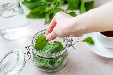 A woman's hand putting freshly picked nettle leaves in a glass jar on white table. Weight loss and...