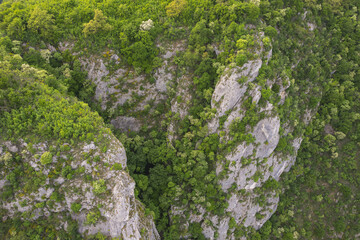Aerial landscape over the green forest, in springtime