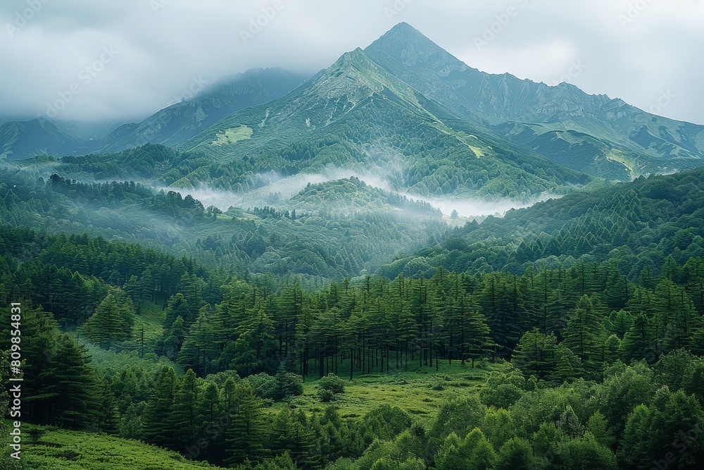 Poster captivating forest and mountain draped in fog creating an ethereal atmosphere synonymous with myster