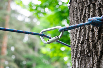 Climbing rope with carabiner attached to a tree