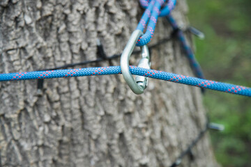 Climbing rope wrapped around a tree secured with a carabiner . rescue mission concept