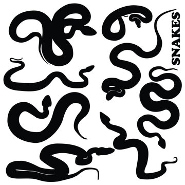 silhouette venomous snake collection or desert on the water snake silhouette flat logo icon vector illustration clipart Snake silhouette set Isolated silhouette snake for a danger warning sign design