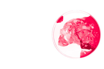 Bacteria and microbes of red color in a petri dish isolated on white background. scientific research of viruses concept