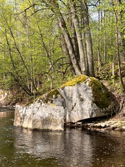 colorful spring landscape with Vizla river and Zāklu giant stone, Vidaga, Latvia