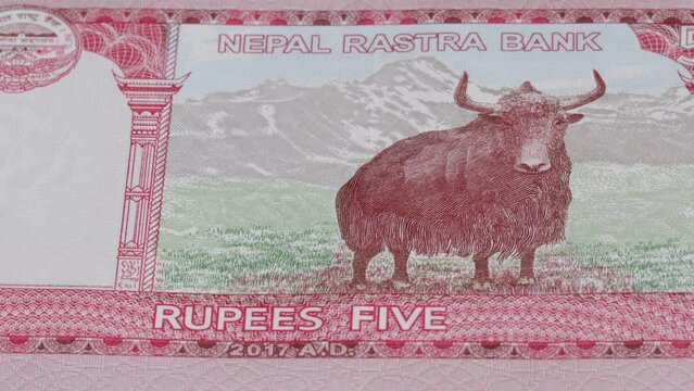 5 Nepalese rupees national currency money legal tender banknote bill 1