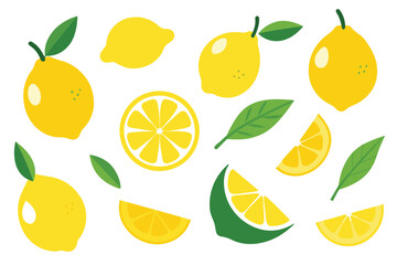 Set of lemons in doodle style. Collection of lemons on a branch, a slice of a lemon, half a lemon. Vector