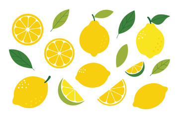 Set of lemons in doodle style. Collection of lemons on a branch, a slice of a lemon, half a lemon. Vector