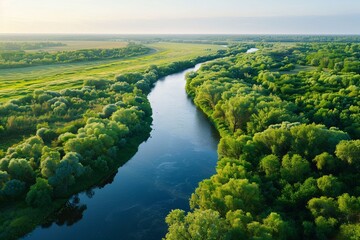 A tranquil river meandering through lush riparian forest