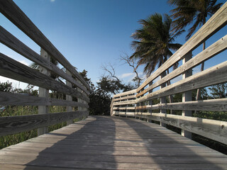 A wooden walkway with a wood railing on either side. Tall palm trees are seen in the distance.

