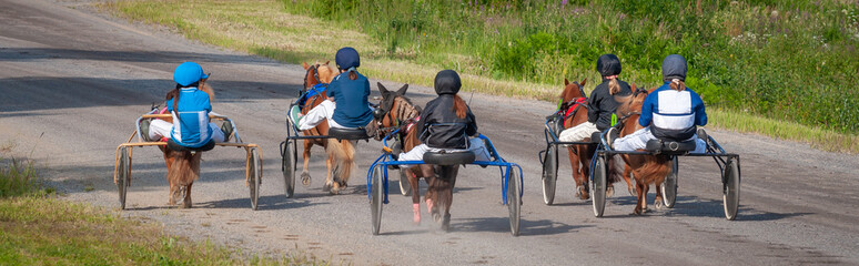 Equestrian sport. Harness racing. Horse race at hippodrome. Horses compete in harness racing.