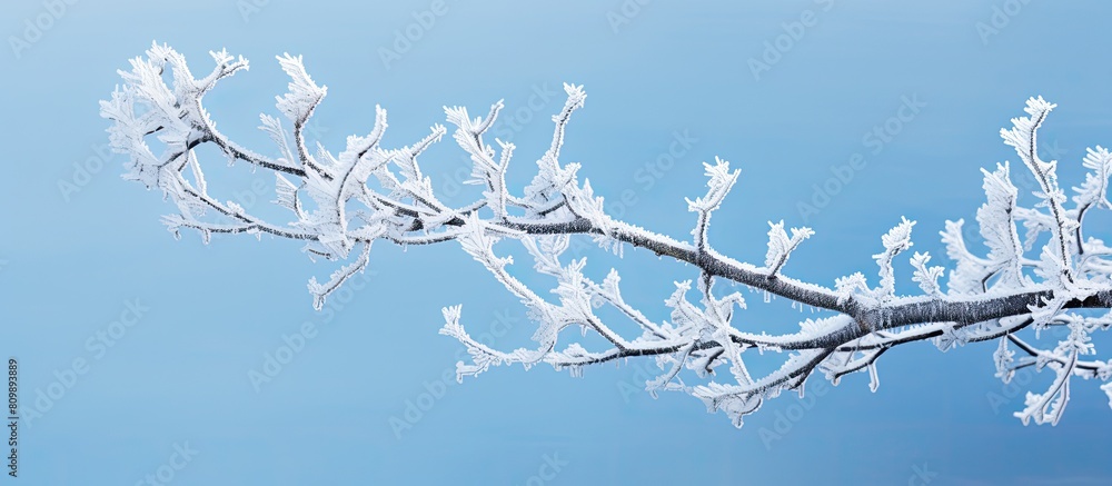 Poster frost covered tree branch with ample copy space image