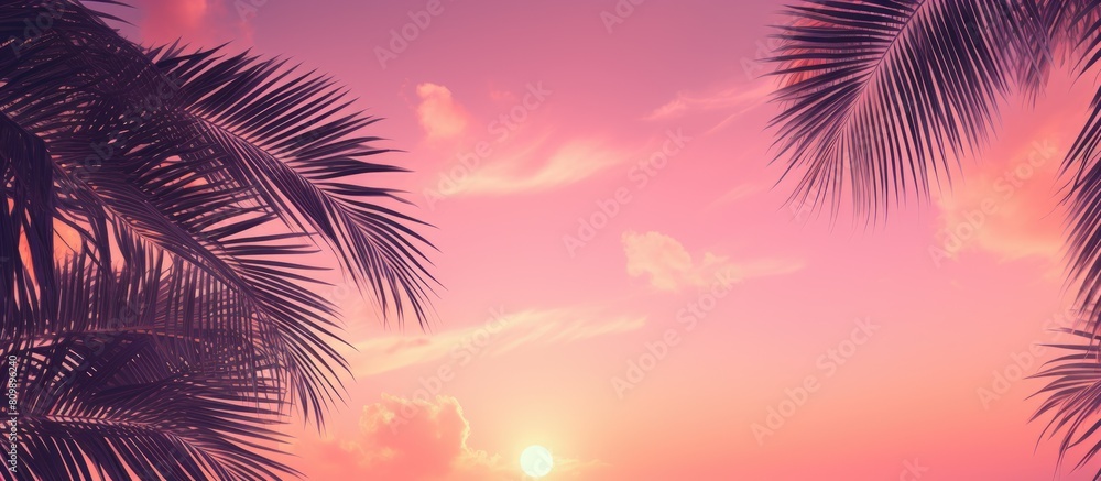 Poster a tropical scene with palm trees against a vibrant pink sky creating a trendy and vibrant atmosphere