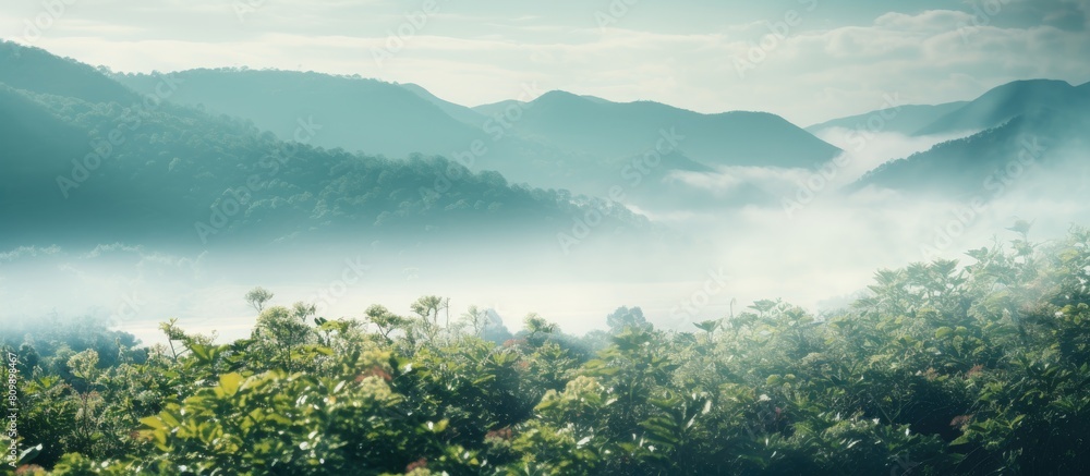 Aufkleber A blurred photo of a natural landscape capturing the beautiful and hazy essence of nature as an ideal background image with ample copy space
