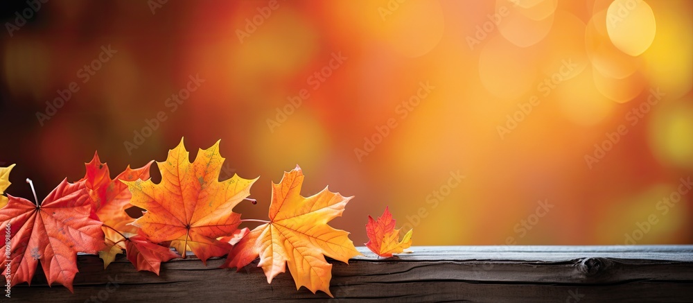 Poster autumn themed card featuring autumn lettering and a copy space image of maple leaves on a tree branc