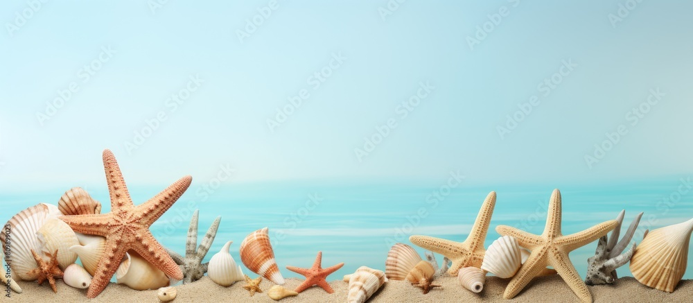Fototapete Create a design with model starfish and shells on a light green background perfect for adding copy space to your image