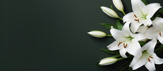 A top down view of a condolence card featuring white lilies with ample blank space for images
