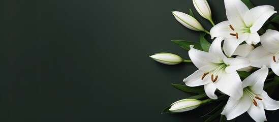 A top down view of a condolence card featuring white lilies with ample blank space for images © HN Works