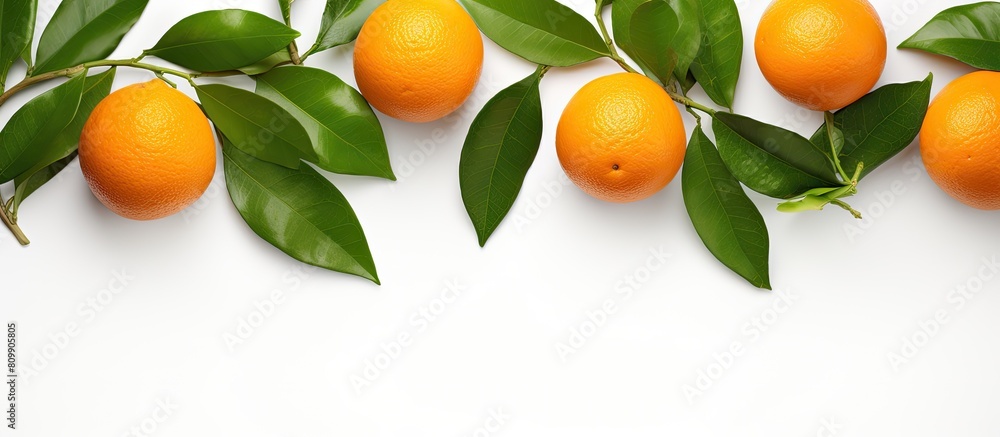 Aufkleber Copy space image of an isolated orange or tangerine with vibrant leaves on a white background perfectly suited for your text placement Viewed from the top presented in a pleasing flat lay style