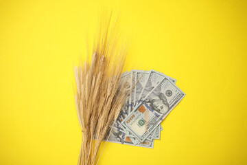 Spikelets with hundred dollar bills on a yellow background. Food crisis