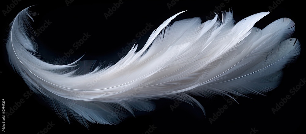 Aufkleber Abstract white feathers gracefully descending in the darkness creating a captivating visual against the black backdrop Ideal for copy space images
