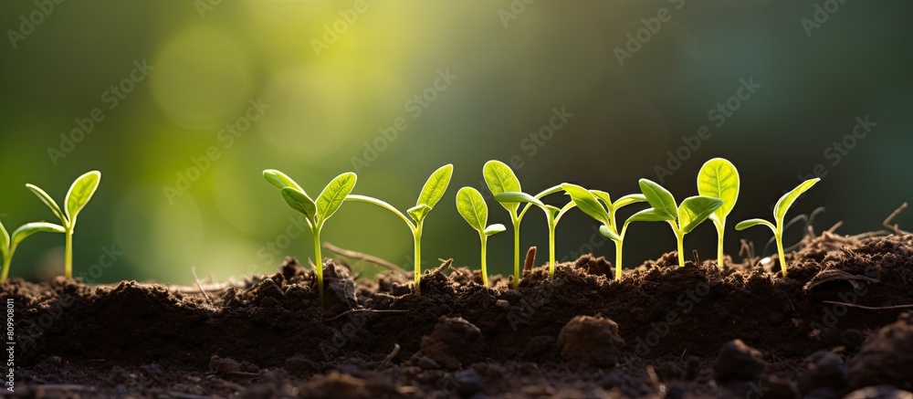 Aufkleber a copy space image depicting the growth of young plants on soil symbolizing the connection to ecolog