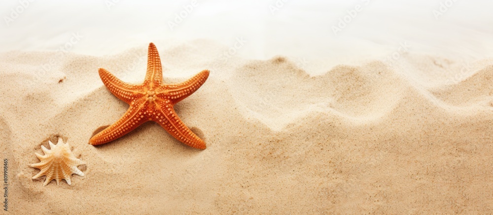 Poster A starfish is seen in a border design on a sandy beach with a copy space image It is isolated against a white background representing a vacation concept