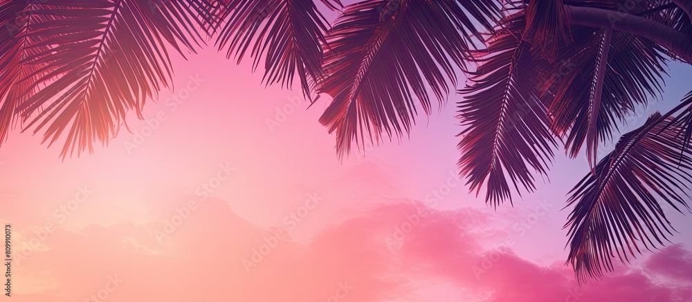 Poster a tropical scene with palm trees against a vibrant pink sky creating a trendy and vibrant atmosphere