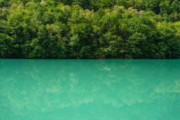 Beauty of nature concept background. Dense green forest reflected in the turquoise surface of the...