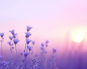 Image of purple flowers in a field at sunset with a purple sky and a yellow sun., background - obrazy, fototapety, plakaty