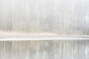 Glistening Lake Encircled by Verdant Trees