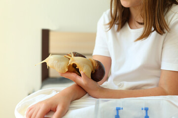 A young girl in her backyard, holding a snail in her hand. She has a curious and fascinated...