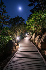Fototapeta premium Walking path in the night
